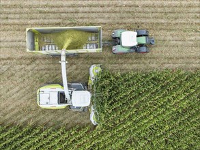 A tractor with silage transport wagon drives next to a forage harvester to load chopped maize,