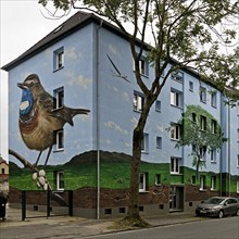 Residential buildings with a bluethroat as a mural after renovation, Bochum-Hamme, Ruhr area, North