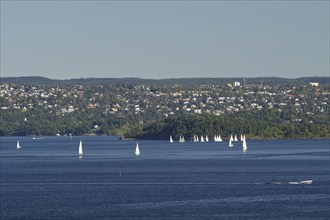 A few sailboats float calmly on the water, in front of a hilly cityscape under a clear sky,