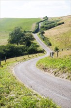 Narrow winding country road passing through countryside near Abbotsbury, Dorset, England, United