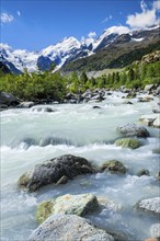 Morteratsch Valley, Piz Palue, 3905 m, Piz Bernina, 4049 m, Biancograt, Morteratsch Glacier,