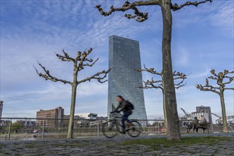 Building of the European Central Bank, ECB, cycle path on the Main in Frankfurt, Hesse, Germany,