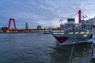 The skyline of Rotterdam, at the Nieuwe Maas, river, skyscrapers, buildings in the city centre,