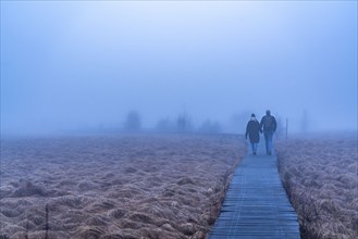 The High Fens nature park Park, in the German-Belgian border region near Eupen, winter, fog, wooden