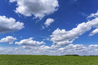 Wind farm, wind turbine, wind turbines from the manufacturer Enercon, blue sky with many white