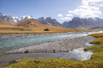 Mountain landscape with yellow meadows, Kol Suu River and mountain peaks with glaciers, Keltan