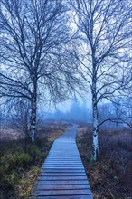 The High Fens nature park Park, in the German-Belgian border region near Eupen, winter, fog, wooden