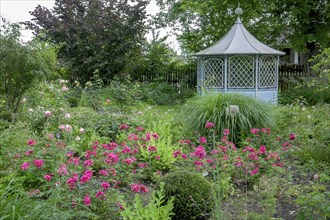 District educational garden, Burgsteinfurt, Münsterland, North Rhine-Westphalia, Germany, Europe