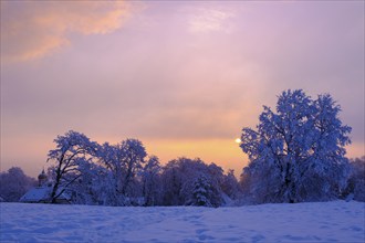 Sunrise with hoarfrost in winter, at the Schlossberg, Eurasburg, Loisachtal, Upper Bavaria,