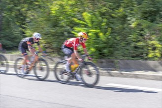 Cyclists in a fast race on a road through a green landscape, Stuttgart, Baden-Württemberg, Germany,