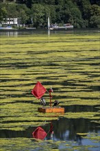 Buoy on the regatta course on Lake Baldeney, cormorant and heron hang out, the area is colonised by