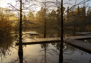 The Grugapark, Essen, botanical garden, park for leisure and recreation, by the forest lake, wooden