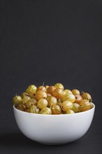 Fresh green gooseberry in white bowl on black background. side view, copy space, close up