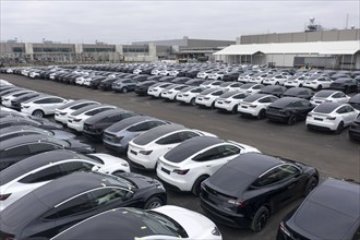 Aerial view of Tesla Y models produced in the Tesla Giga Factory, Grünheide, 28 01 2023