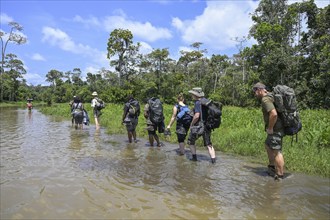 Tourists on the way to the Dzanga Bai forest clearing, Dzanga-Ndoki National Park, Unesco World