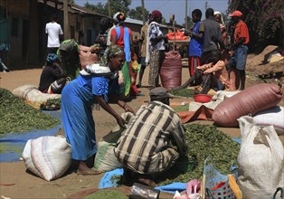 South Ethiopia, market in Jinka, trade with hop leaves, market scene, Ethiopia, Africa