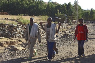 Tigray region, locals on their way home along a stony road, Ethiopia, Africa