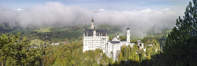 Neuschwanstein Castle near Hohenschwangau, Romantic Road, Ostallgäu, Bavaria, Germany, Europe