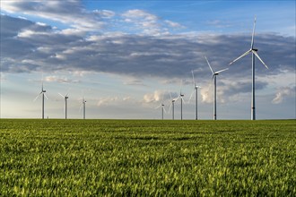 RWE wind farm near Bedburg, at the Garzweiler opencast mine, on recultivated part of the opencast