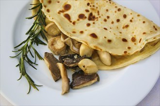 Swabian cuisine, pancakes filled with mushrooms, Flädle with king oyster mushrooms, from the pan,