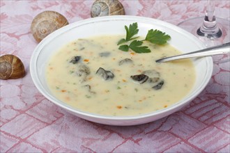 Baden cuisine, snail soup, typical Baden, vineyard snail shell, snail shells, parsley, spoon, soup