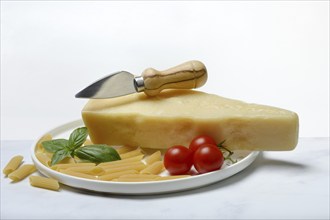 A piece of Parmesan cheese with cheese knife, pasta and tomatoes, Italy, Europe