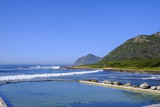 Tidal Pool, Buffels Bay, Cape of Good Hope, Cape Peninsula, Western Cape, South Africa, Africa