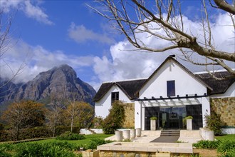 Oldenburg Wine Estate, Oldenburg Vineyards, Banghoek, Stellenbosch, Western Cape, South Africa,