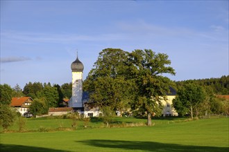 Parish Church of St George, Osterwarngau, Upper Bavaria, Bavaria, Germany, Europe