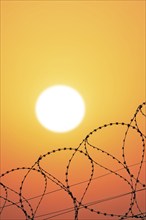 Symbolic image imprisonment, barbed wire fence in front of the sun, sunset, protective fence,