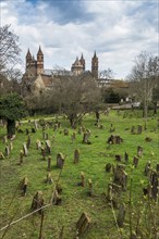 Jewish cemetery Heiliger Sand and St Peter's Cathedral, Kaiserdom, Worms Cathedral, Worms,