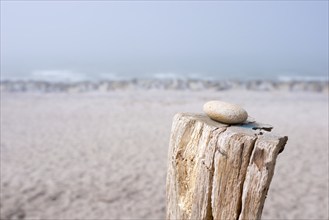 A single stone lies on a wooden pole on the beach with foggy background, pebble on pole, sandy