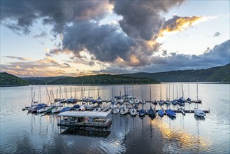 Lake Rursee, reservoir in the Eifel National Park, north-east bank near Heimbach, near the Rur dam