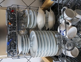 Dishwasher, full of clean crockery