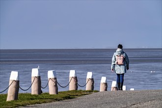 Dyke walk on the East Frisian coast near Norddeich, Lower Saxony, Germany, Europe