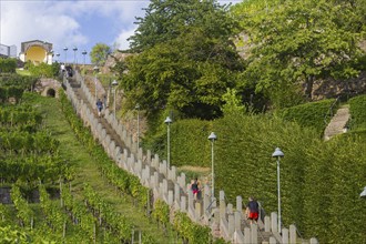 The Spitzhaus staircase is located in the Saxon town of Radebeul. It connects the Hoflößnitz