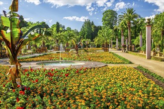 Palm garden in the spa gardens, the largest outdoor palm garden north of the Alps, spa town of Bad