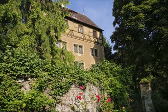 Hochberg Castle, formerly Hochberg Castle, Hohenberg Castle, former seat of the Hochberg lordship,