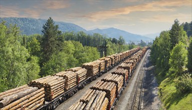 Forestry, timber industry, long goods train with goods wagons loaded with logs, AI generated, AI