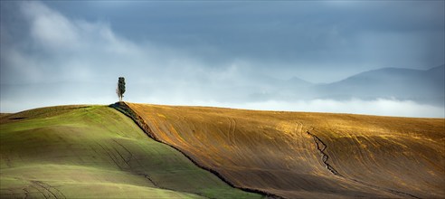 Landscape Panorama Crete Toscana Italy