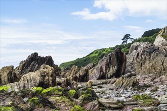 Rocks on Mothecombe Beach, Mothecombe, River Emme and Red Cove, Plymouth, South Devon, England,