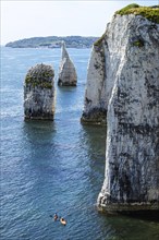 White Cliffs of Old Harry Rocks Jurassic Coast, Dorset Coast, Poole, England, United Kingdom,