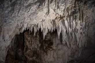 Stalactites in a stalactite cave, Terciopelo Cave, Barra Honda National Park, Costa Rica, Central