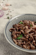 Pickled honey mushrooms, in a bowl, homemade, top view, no people