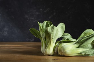 Fresh green bok choy or pac choi chinese cabbage on a gray wooden background. Hard light, contrast,