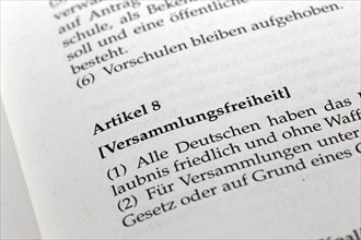 German Basic Law Article 8, Freedom of assembly