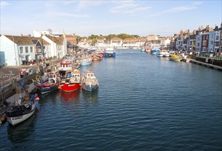 Colourful fishing boats in the harbour at Weymouth, Dorset, England, United Kingdom, Europe