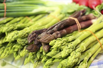 Green and purple asparagus, radishes in the background