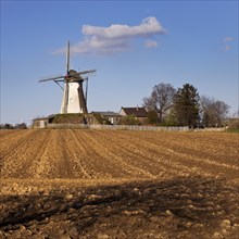 Historic Grottenherten tower windmill, Bedburg, Rhine-Erft district, Lower Rhine, North