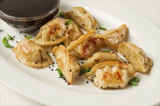 Japanese fried gyoza dumplings, with pork, sesame seeds, green onions